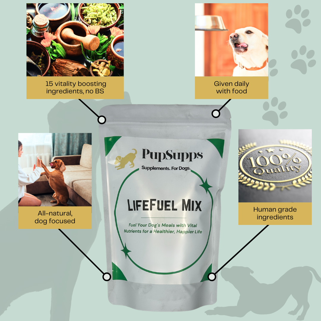 LifeFuel Mix - PupSupps Co